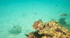 Perhentian Islands