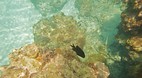 Perhentian Islands