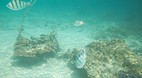 Perhentian Islands