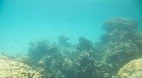 Perhentian Islands