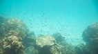 Perhentian Islands