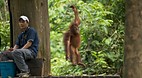 Sepilok Orang Utan S..