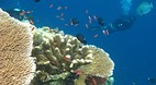 Sipadan Island