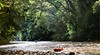 Taman Negara
