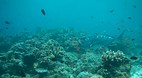 Tun Sakaran Marine P..