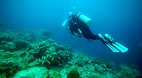 Tun Sakaran Marine P..