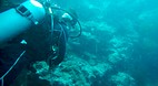 Tun Sakaran Marine P..