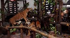Zoo Melaka
