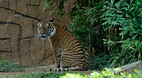 Zoo Melaka