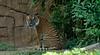 Zoo Melaka