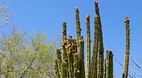 El Fuerte