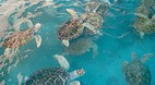 Isla Mujeres