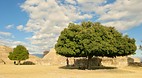 Monte Alban Ruins