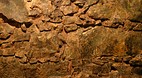 Palenque Ruins
