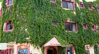 Playa del Carmen