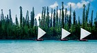 Isle of Pines
