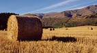 Arrowtown