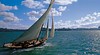 Auckland Harbour