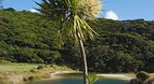Auckland Region