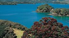 Bay of Islands