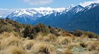 Christchurch - Cante..