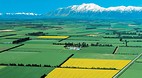 Canterbury Plains