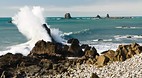 Cape Foulwind Seal C..