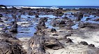Catlins Coastal Heri..