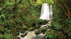 Catlins Coastal Heri..