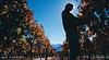 Central Otago vineyards
