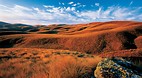 Central Otago