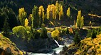Central Otago