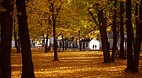Central Otago