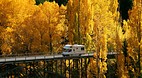 Central Otago