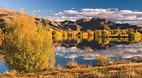Christchurch - Cante..