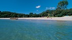 Coromandel