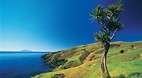 Coromandel
