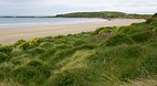 Curio Bay and Slope ..