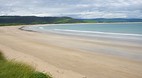Curio Bay and Slope ..