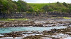 Curio Bay and Slope ..