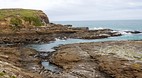 Curio Bay and Slope ..