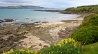 Curio Bay and Slope ..