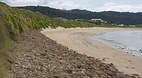 Curio Bay and Slope ..