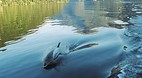 Doubtful Sound