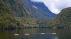 Doubtful Sound