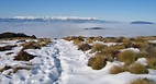Fiordland