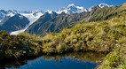 Fox Glacier