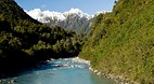 Fox Glacier