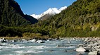 Fox Glacier