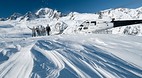 Fox Glacier